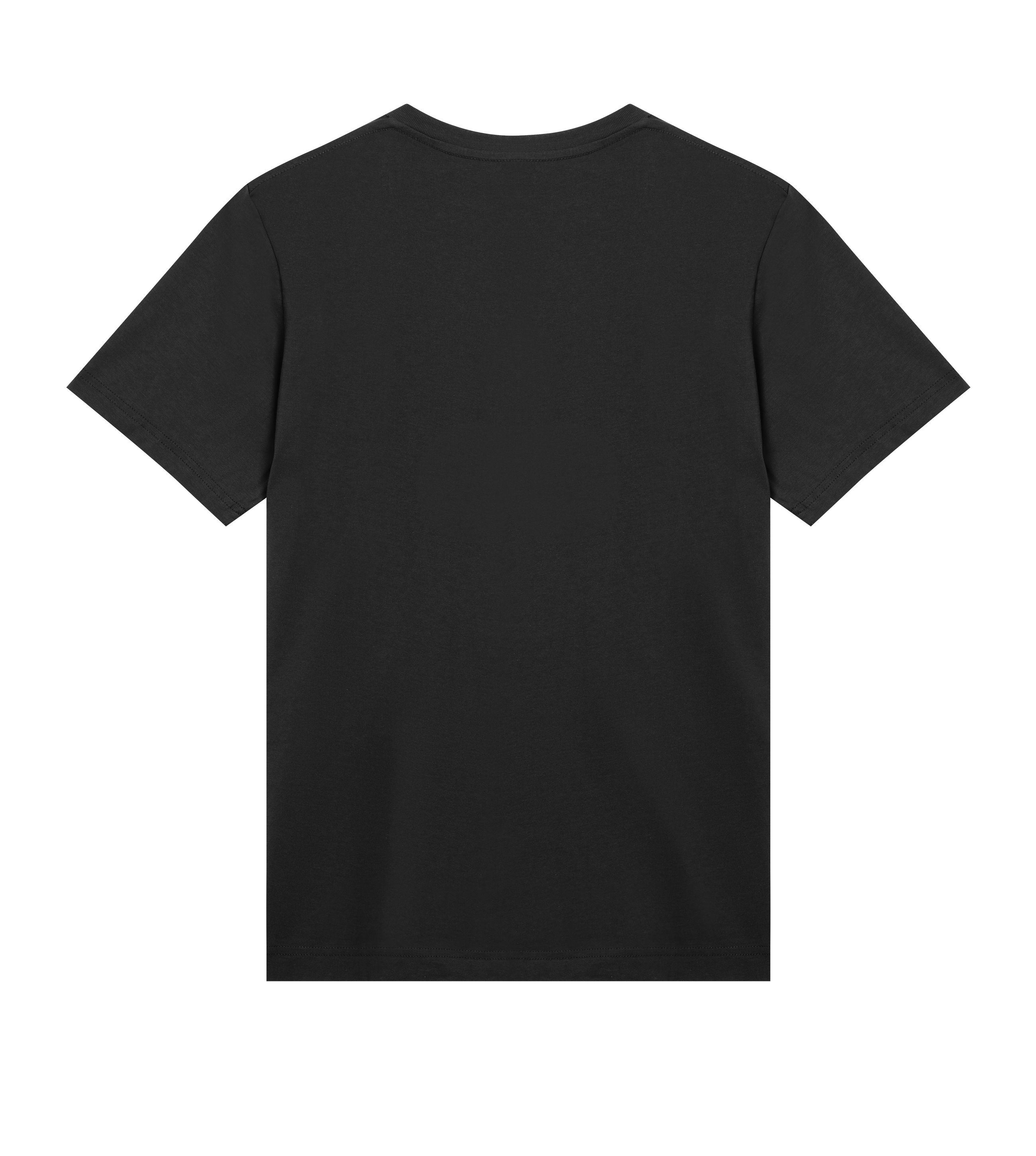 Mens Regular Tee Gwandlaus